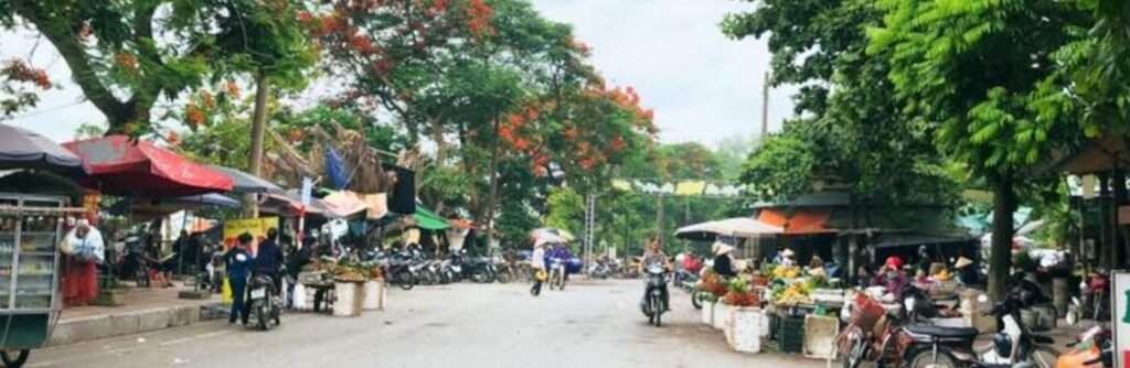 Cho Me 1600 × 900 px 1900 × 620 px Listings