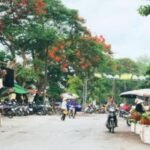 Chợ Mè - Địa điểm nhất định phải ghé thăm tại thị xã Phú Thọ