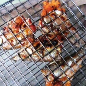 Dam Ao Chau8 Đầm Ao Châu8