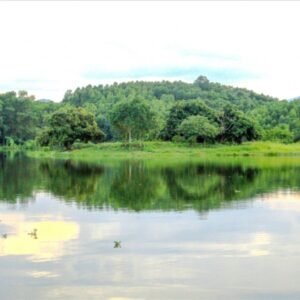 Dam Van Hoi3 Đầm Vân Hội3