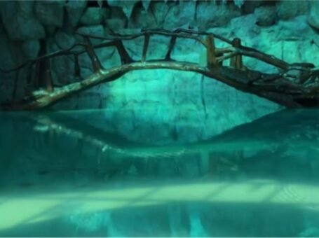 Trải nghiệm những phút giây thư giãn tại suối khoáng nóng Thanh Thủy