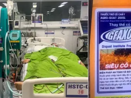 Kịch tính cứu sống người bệnh ngộ độc thuốc diệt cỏ (Diquat)