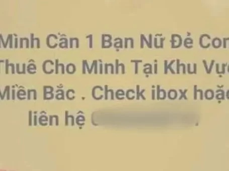 Bẽ bàng vụ nhận “đẻ thuê” bằng hình thức quan hệ trực tiếp