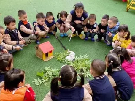 Phú Thọ: Hãy cảnh giác với chiêu trò “cò” chạy biên chế giáo viên