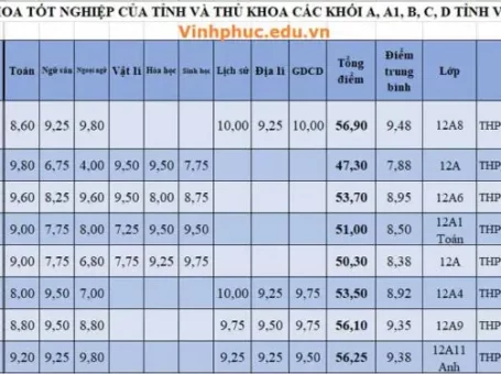 Thủ khoa tốt nghiệp tỉnh Vĩnh Phúc gọi tên học sinh trường THPT Đội Cấn
