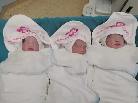 Phú Thọ: Mổ đẻ thành công cho sản phụ mang 3 thai tự nhiên hiếm gặp