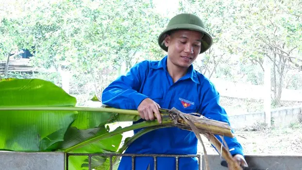 xa hoi 2 9 1 Nuôi la liệt lợn rừng lai nhai lá chuối rau ráu, một anh nông dân đất Yên Lập ở Phú Thọ kiếm bộn tiền