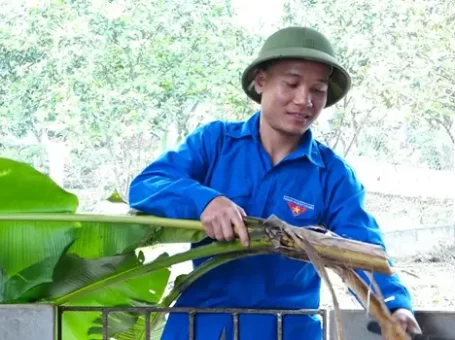 Nuôi la liệt lợn rừng lai nhai lá chuối rau ráu, một anh nông dân đất Yên Lập ở Phú Thọ kiếm bộn tiền