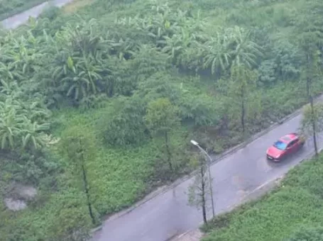 Chủ tọa ‘rất đau lòng’ khi xét xử vụ 11 anh chị em ruột tranh chấp một mảnh đất