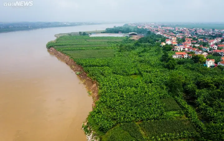 xa hoi 1 6 Phú Thọ: Sạt lở nghiêm trọng bờ sông Thao, hơn 1.000 hộ dân bị ảnh hưởng