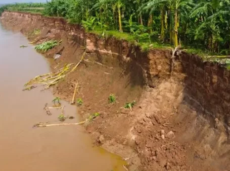 Phú Thọ: Sạt lở nghiêm trọng bờ sông Thao, hơn 1.000 hộ dân bị ảnh hưởng