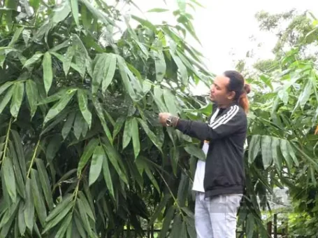 Làm ống hút tre từng bị chê thô kệch, nay anh nông dân Phú Thọ xuất bán sang Hàn Quốc, Ấn Độ