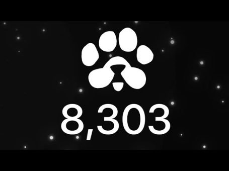 Hướng dẫn tham gia PAWS: 5 Bước Đơn Giản Airdrop Nhận Tiền Miễn Phí