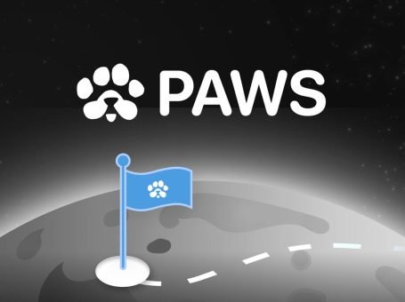 8 Lý Do Nên Tham Gia PAWS Airdrop Ngay Hôm Nay
