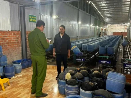 Giá Ngâm Chất Cấm: Cấp Chứng Nhận An Toàn Thực Phẩm Gây Lo Ngại 2025 (2)