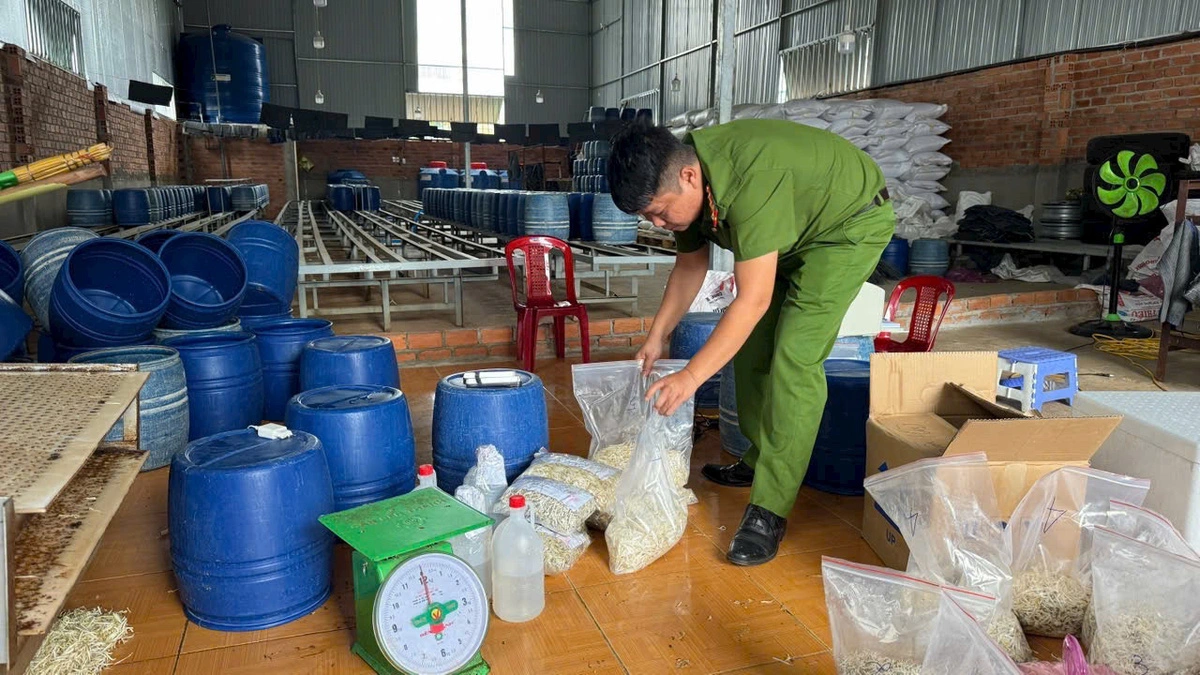 Giá Ngâm Chất Cấm: Cấp Chứng Nhận An Toàn Thực Phẩm Gây Lo Ngại 2025